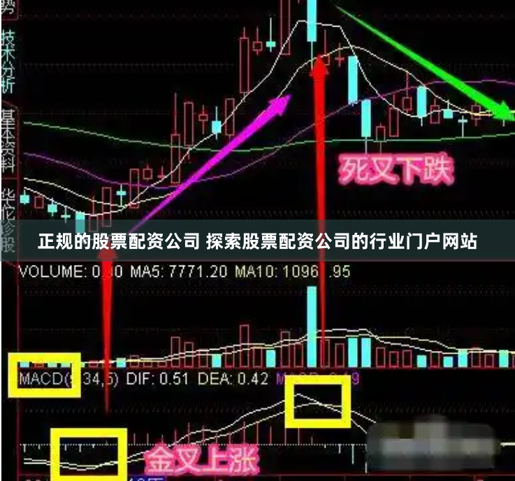 正规的股票配资公司 探索股票配资公司的行业门户网站
